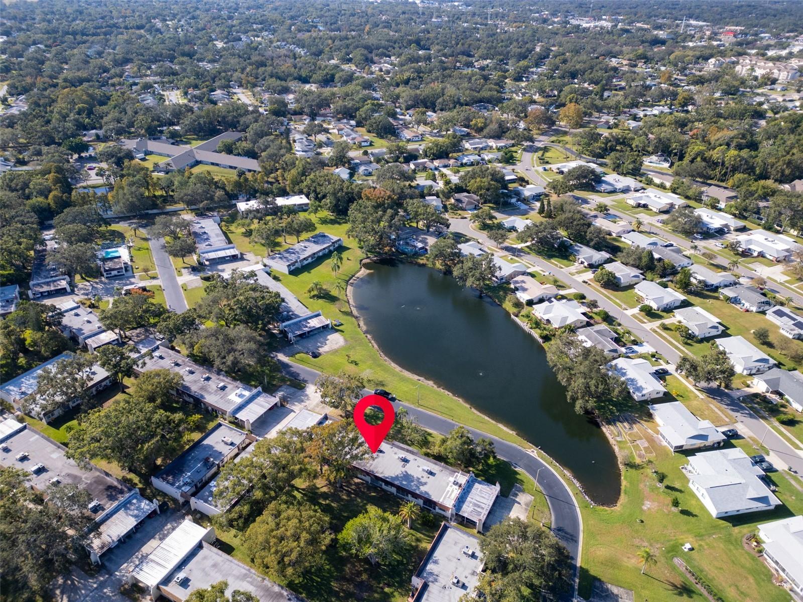 3109 MISSION GROVE DRIVE, #D, Palm Harbor, FL 34684