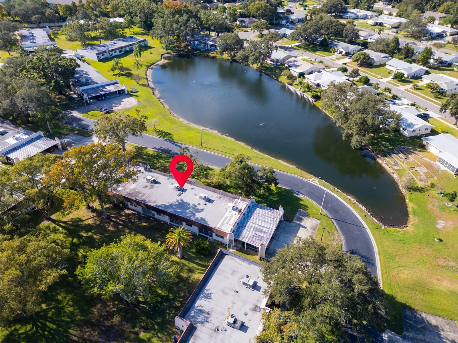 3109 MISSION GROVE DRIVE, #D, Palm Harbor, FL 34684