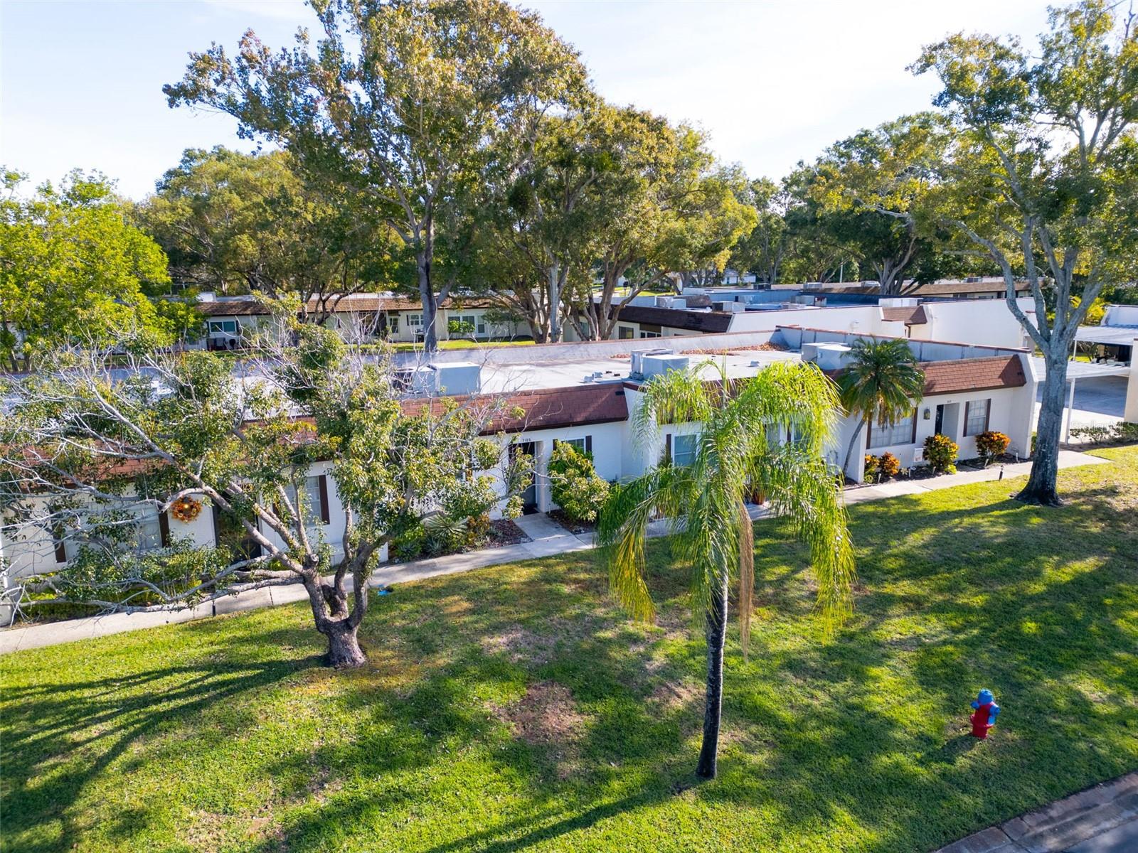 3109 MISSION GROVE DRIVE, #D, Palm Harbor, FL 34684