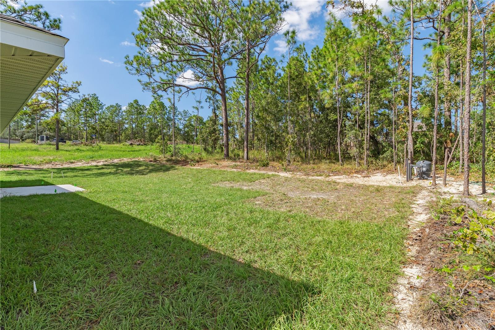 12483 DOWNY WOODPECKER ROAD, Weeki Wachee, FL 34614
