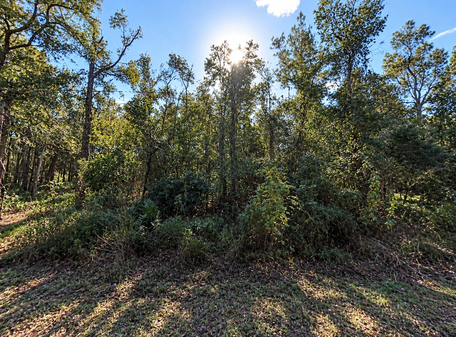 SW 8TH STREET, Ocala, FL 34481