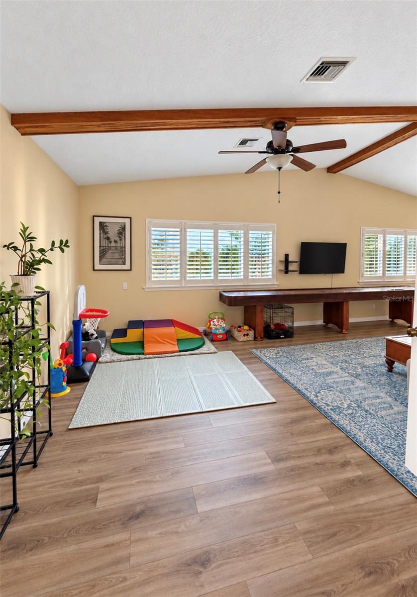 family/game room
