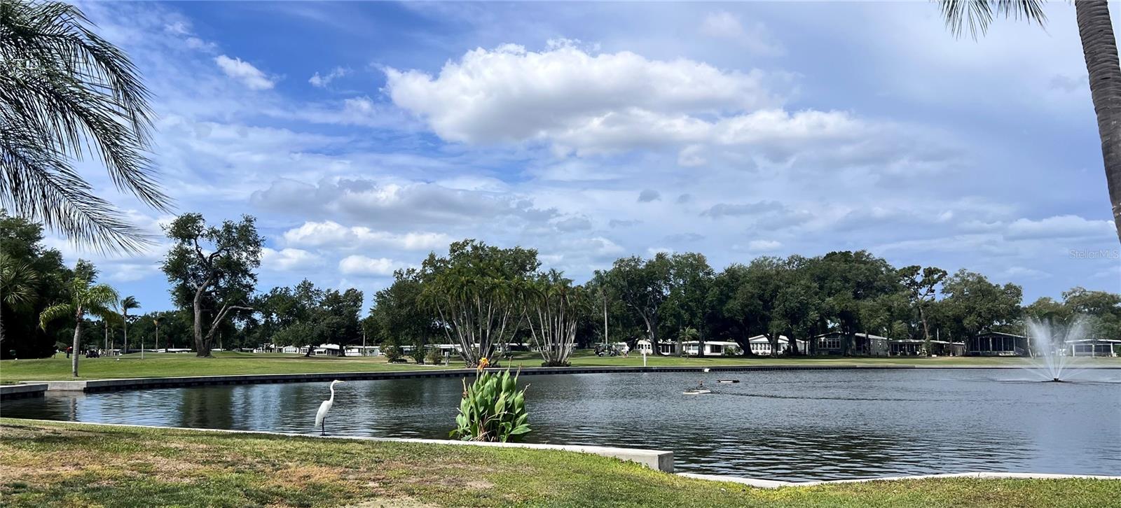 1100 BELCHER ROAD S, #713, Largo, FL 33771