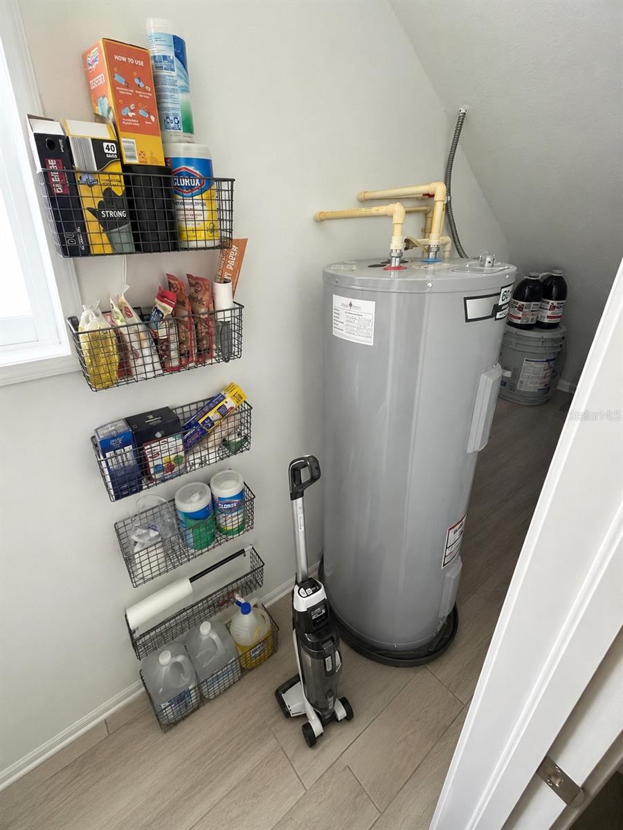 Kitchen pantry and storage under the stairs.
