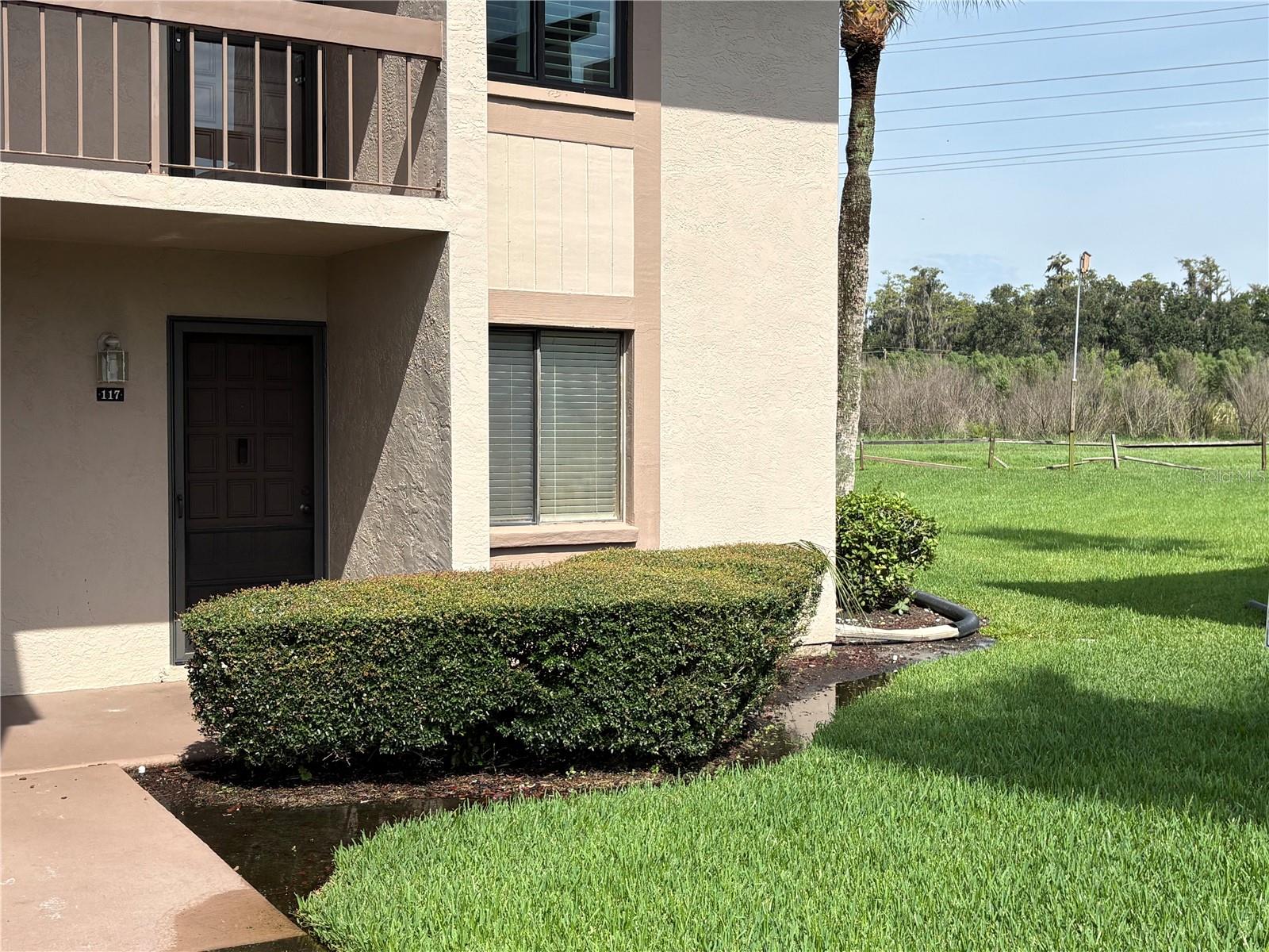 117 CAMILLE COURT, #117, Oldsmar, FL 34677 117 CAMILLE COURT, #117, Oldsmar, FL 34677