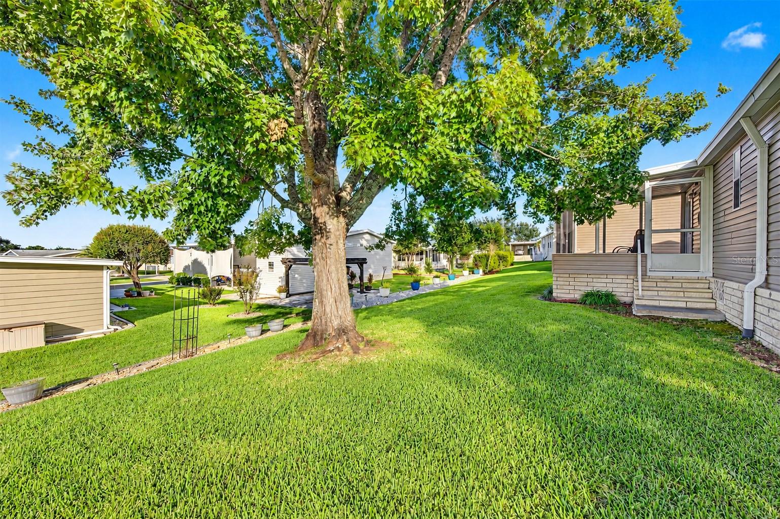 37633 COREY LEWIS AVENUE, Zephyrhills, FL 33541