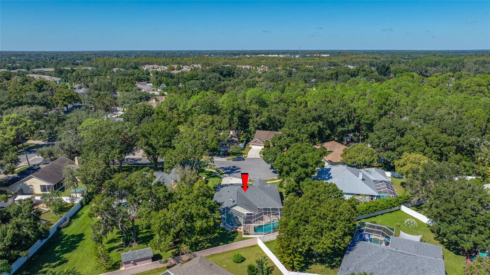 1648 WOODRIDGE COURT, Lutz, FL 33559