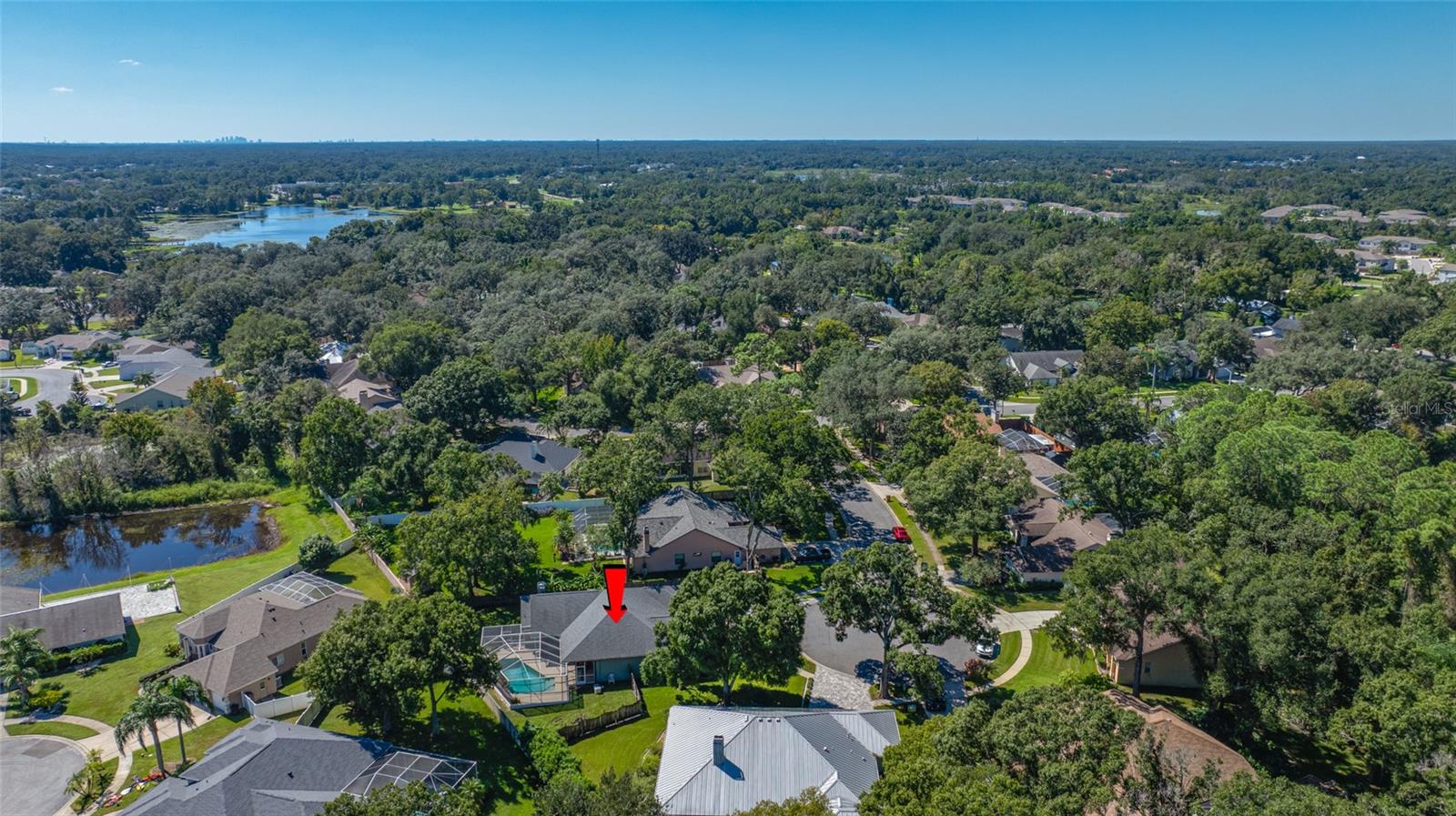 1648 WOODRIDGE COURT, Lutz, FL 33559