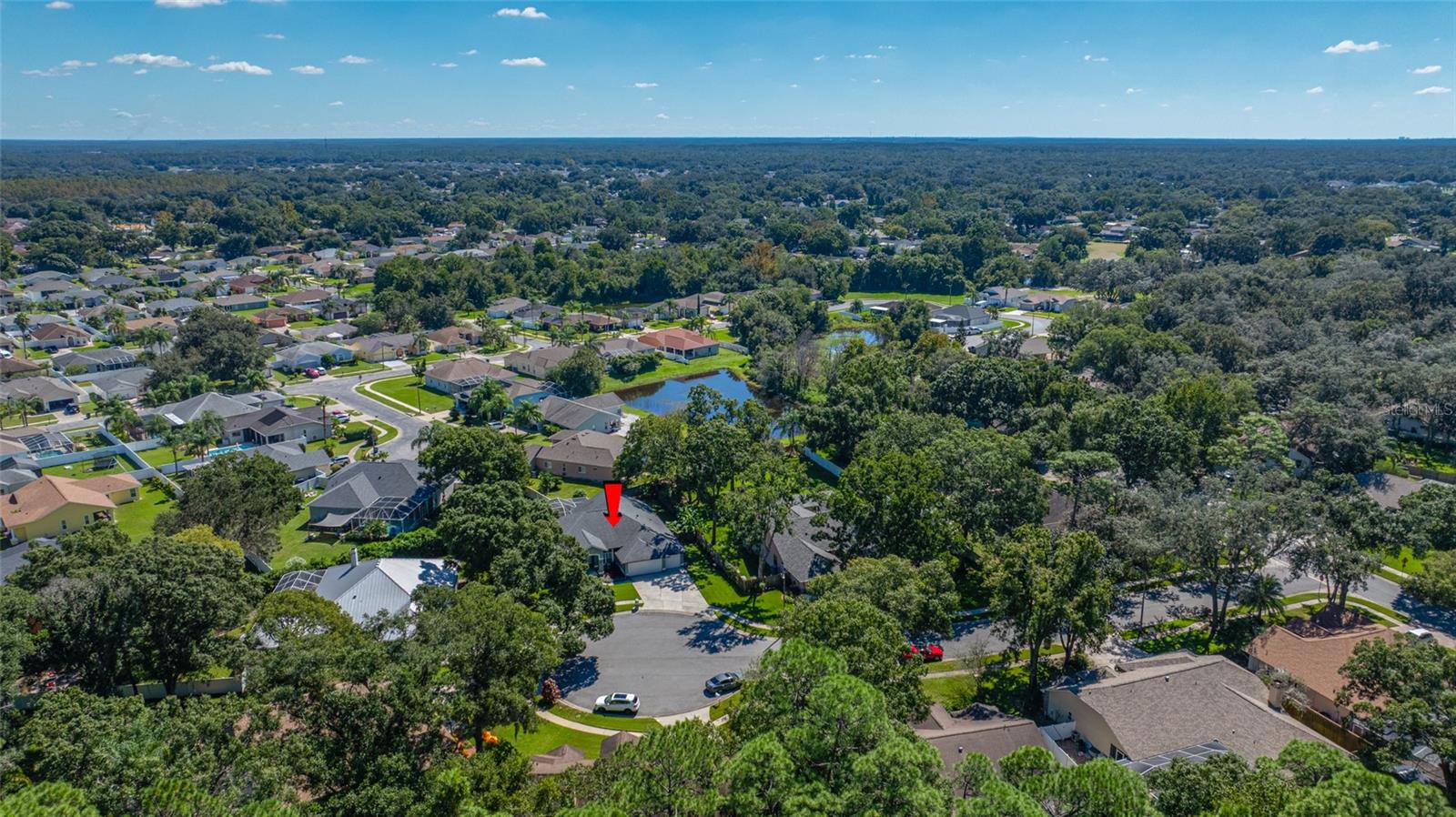 1648 WOODRIDGE COURT, Lutz, FL 33559 1648 WOODRIDGE COURT, Lutz, FL 33559