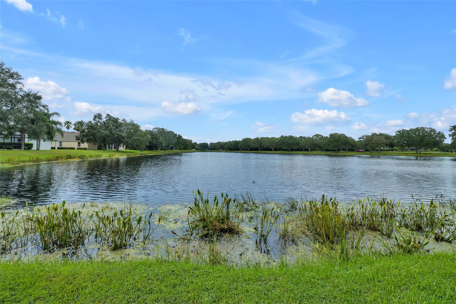 12639 CARA CARA LOOP, Bradenton, FL 34212