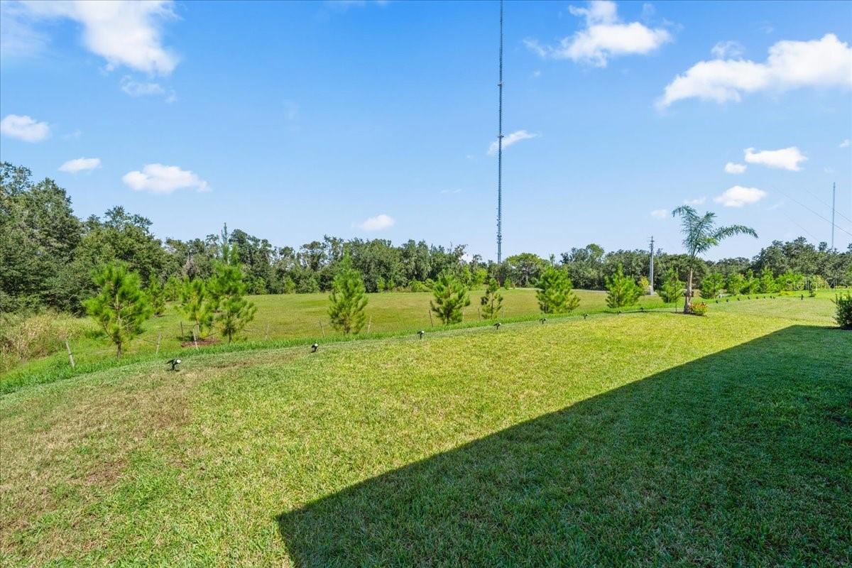 12421 BERGSTROM BAY DRIVE, Riverview, FL 33579