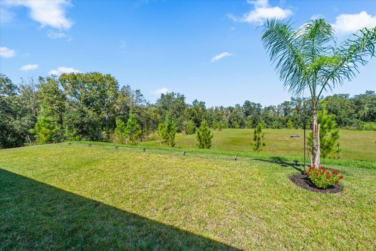 12421 BERGSTROM BAY DRIVE, Riverview, FL 33579