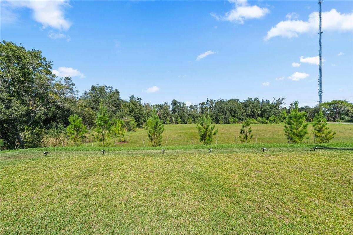 12421 BERGSTROM BAY DRIVE, Riverview, FL 33579