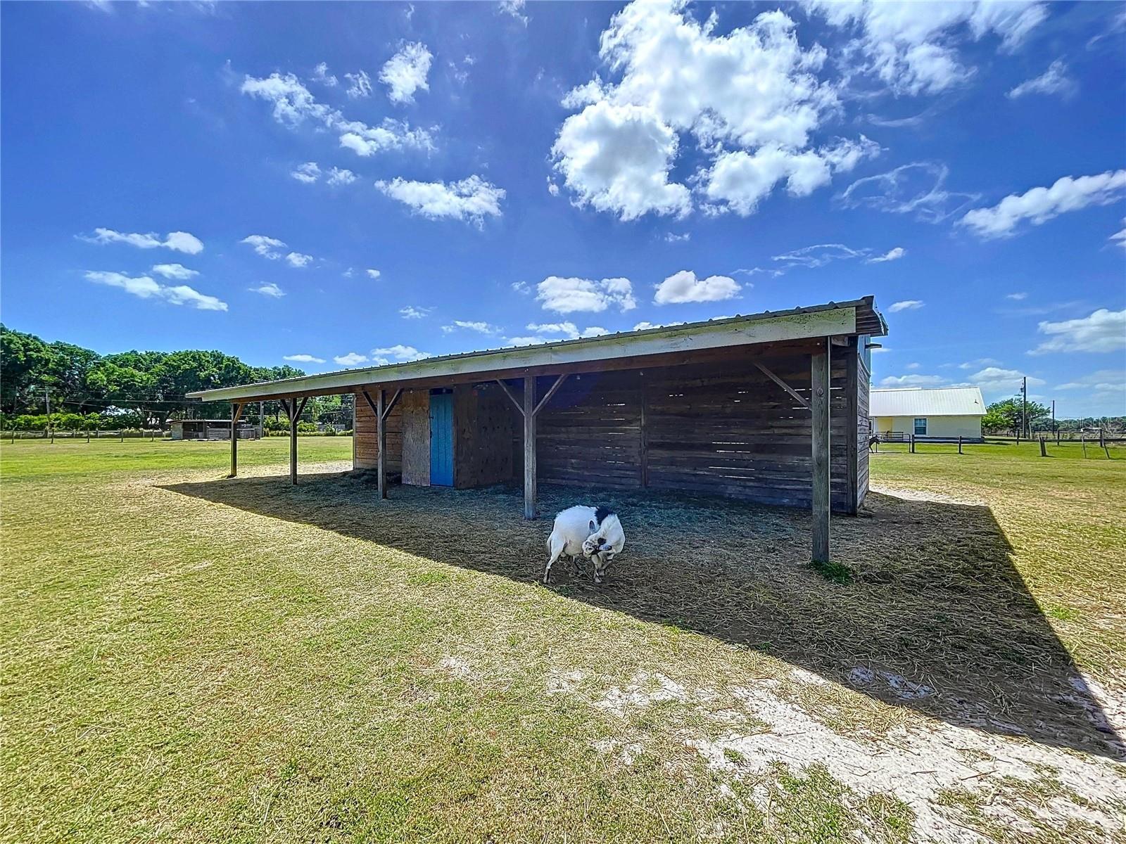 3108 TOM MATTHEWS ROAD, Lakeland, FL 33810