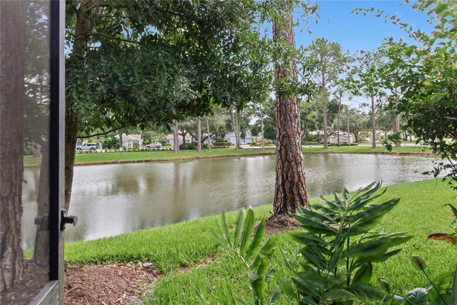 1210 HOUNDS RUN, Safety Harbor, FL 34695