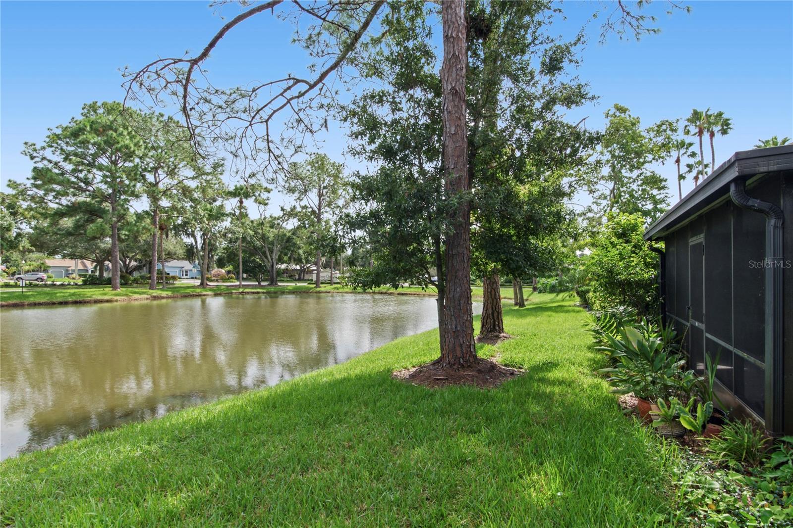 1210 HOUNDS RUN, Safety Harbor, FL 34695