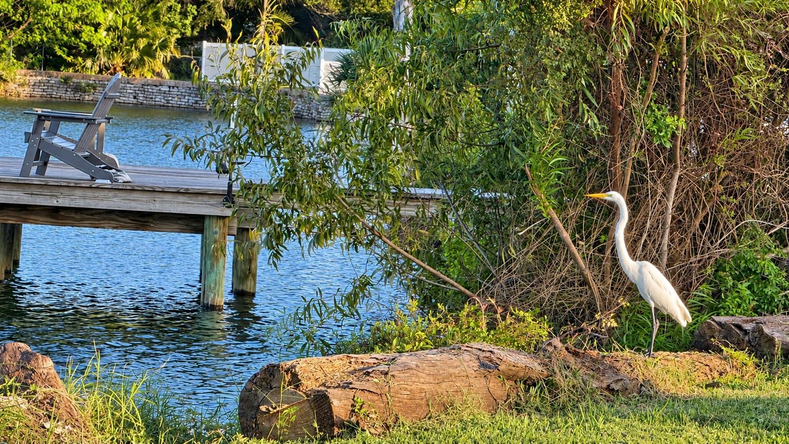 3087 JACKSON DRIVE, Holiday, FL 34691