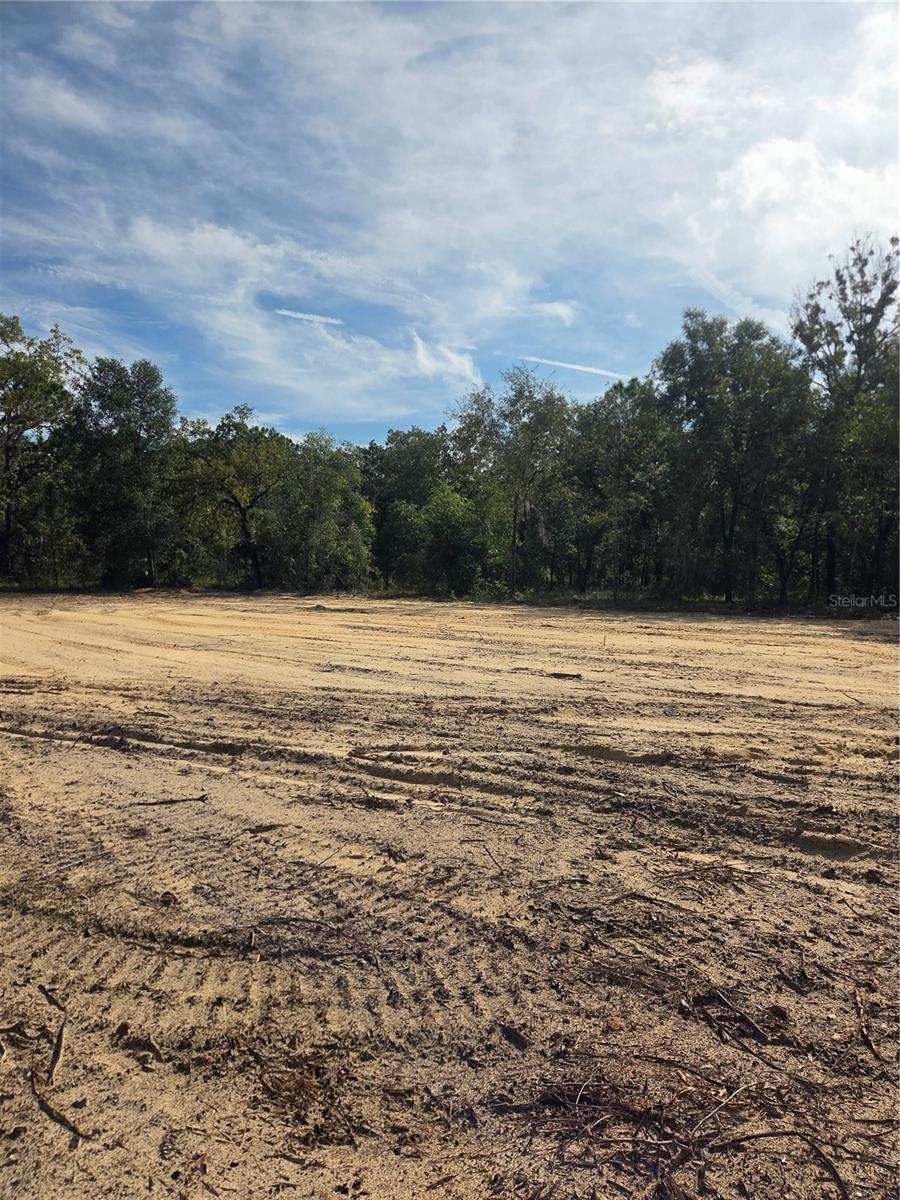 16016 SHELDRAKE LOOP, Weeki Wachee, FL 34614
