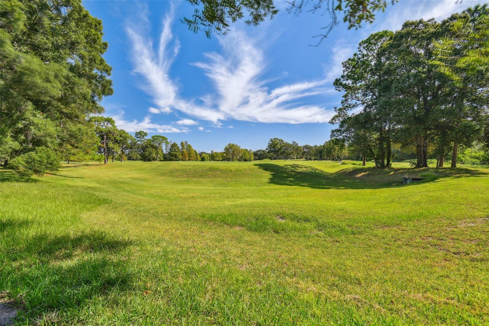 2991 HEATHER TRAIL, Clearwater, FL 33761