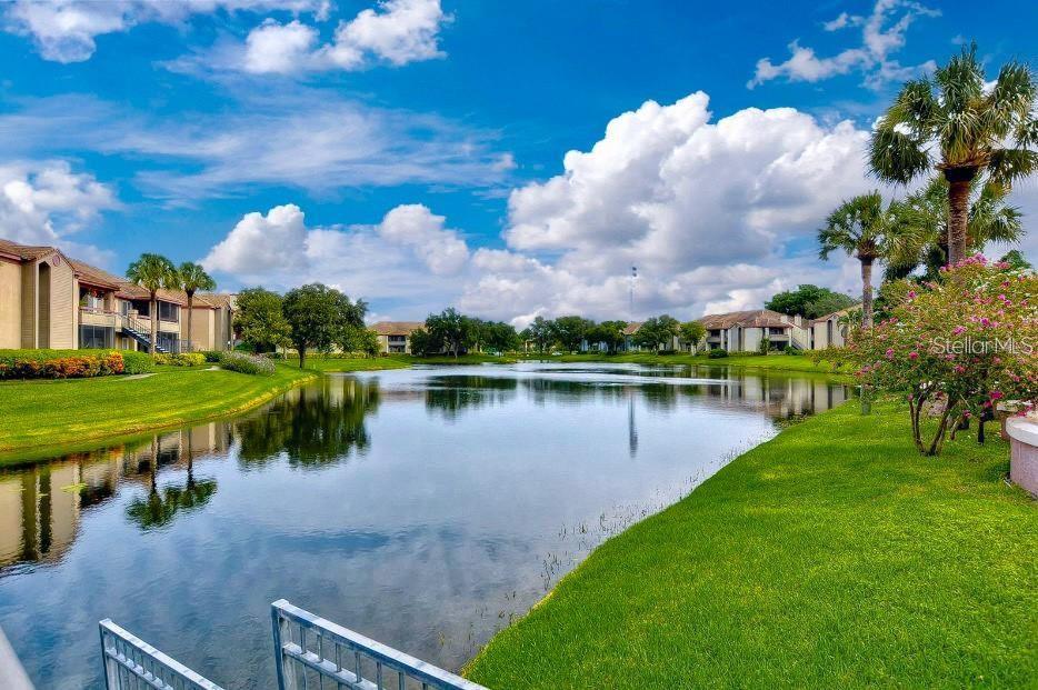 10265 GANDY BOULEVARD N, #1707, St Petersburg, FL 33702