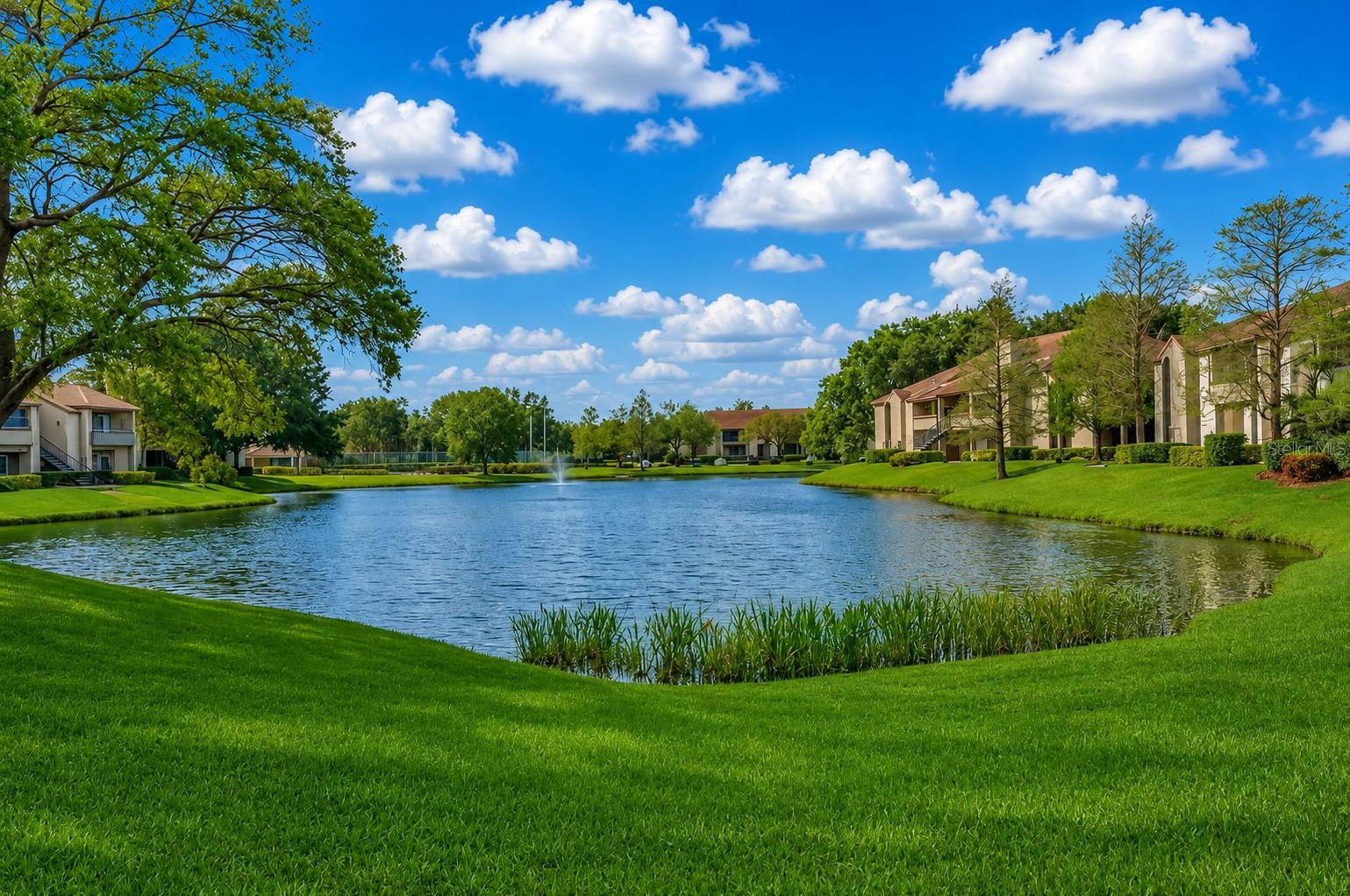 10265 GANDY BOULEVARD N, #1707, St Petersburg, FL 33702 10265 GANDY BOULEVARD N, #1707, St Petersburg, FL 33702