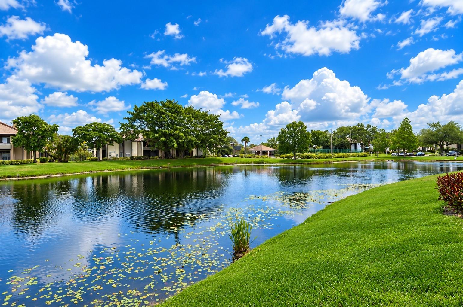 10265 GANDY BOULEVARD N, #1707, St Petersburg, FL 33702