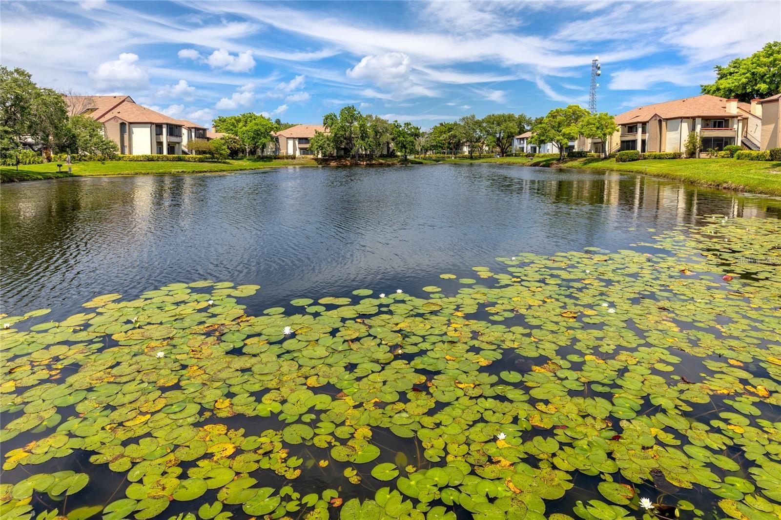 10265 GANDY BOULEVARD N, #1707, St Petersburg, FL 33702