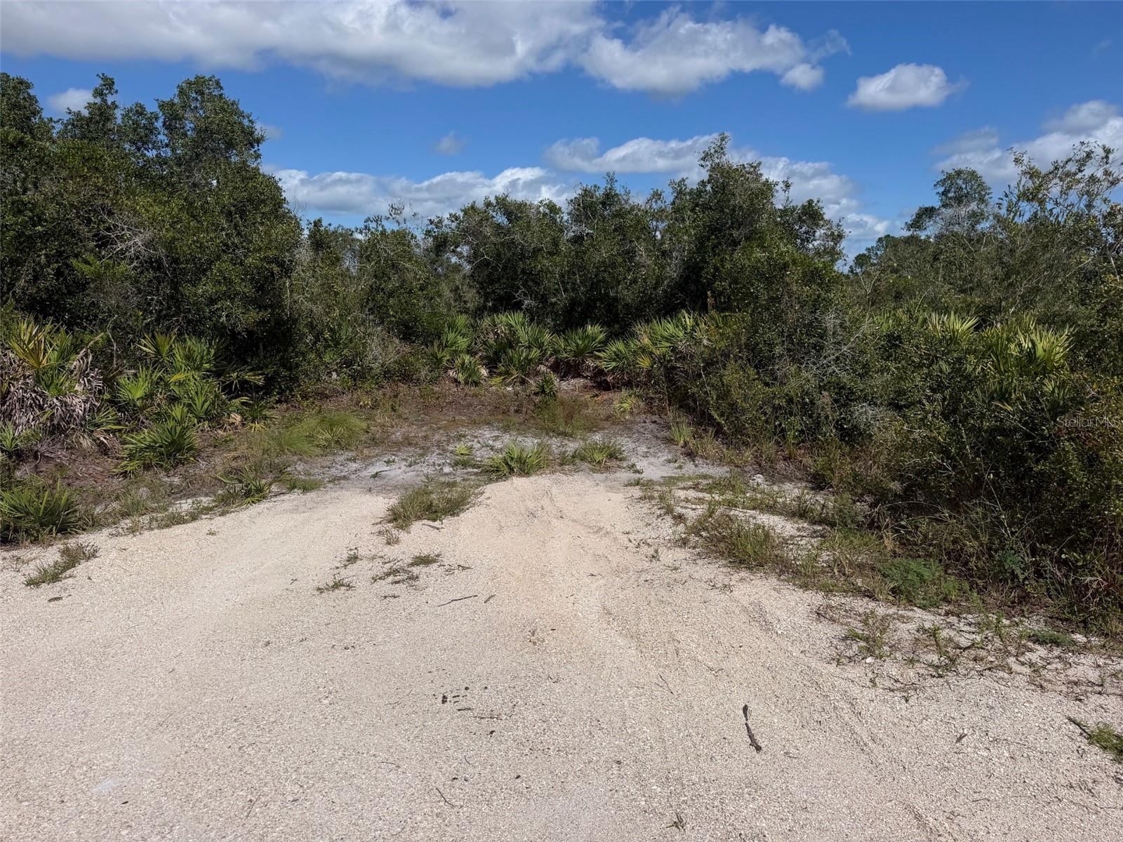 3205 HACIENDA DRIVE, Lorida, FL 33857