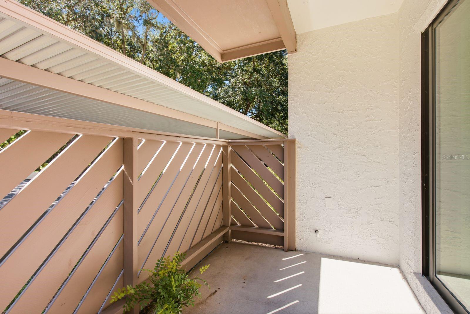 515 MISTLETOE COURT, #B, Safety Harbor, FL 34695
