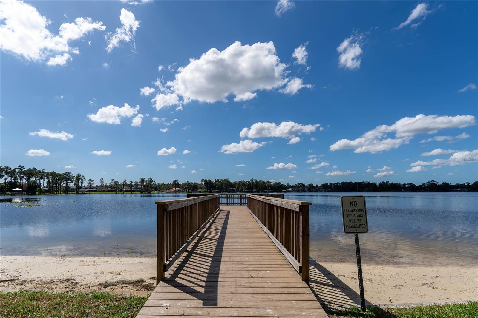 16867 LE CLARE SHORES DRIVE, Tampa, FL 33624