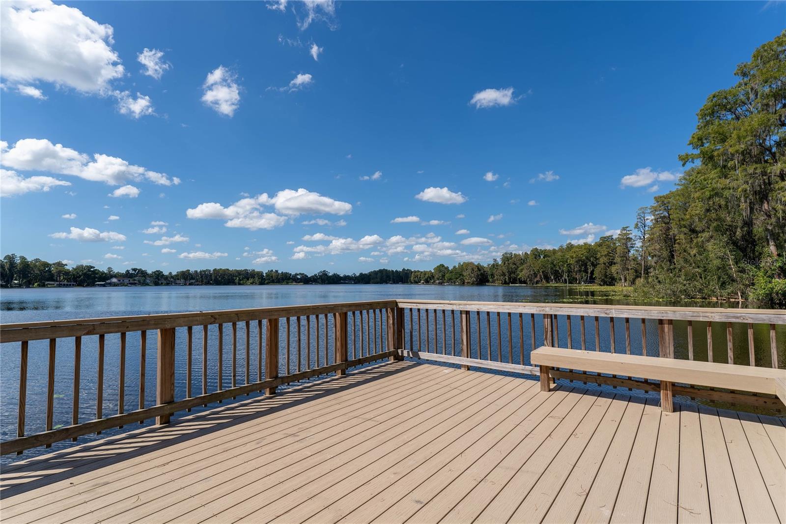 16867 LE CLARE SHORES DRIVE, Tampa, FL 33624
