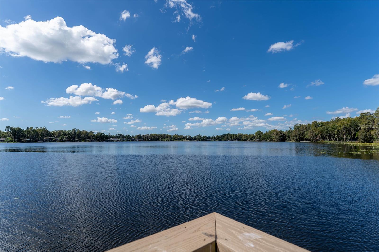 16867 LE CLARE SHORES DRIVE, Tampa, FL 33624