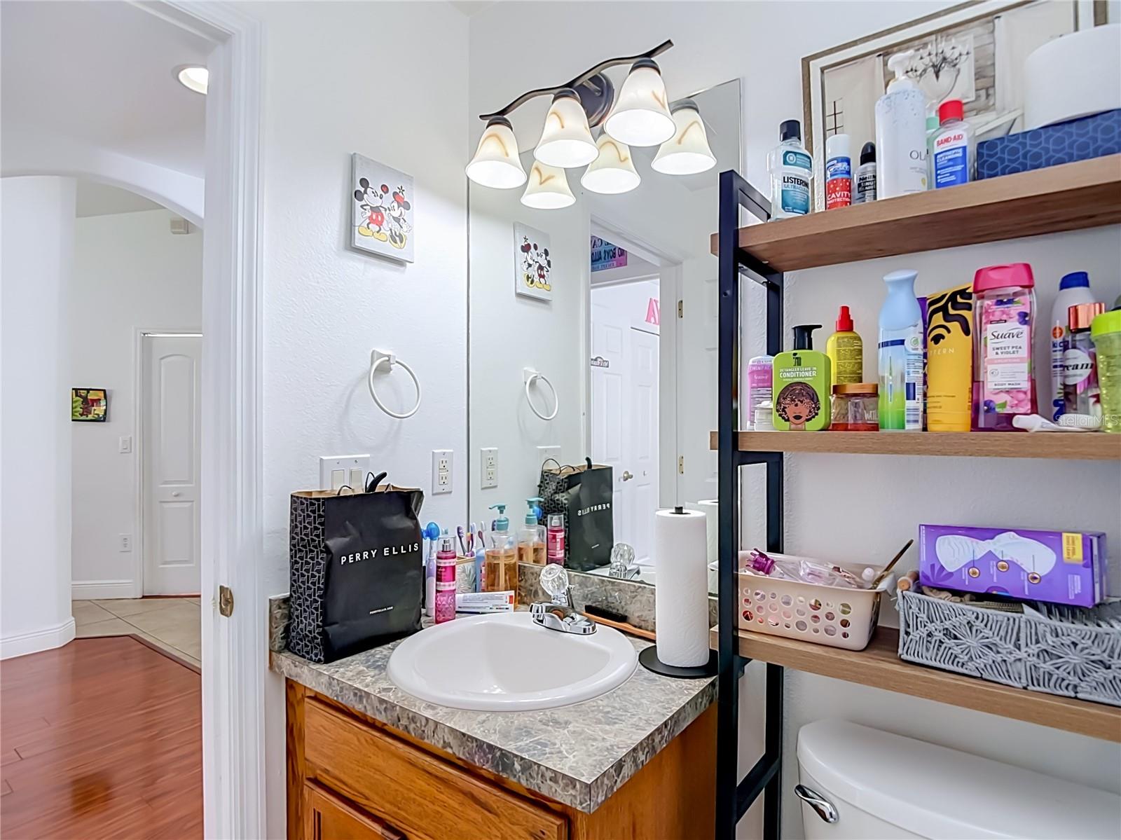 5533 TURTLE CROSSING LOOP, Tampa, FL 33625