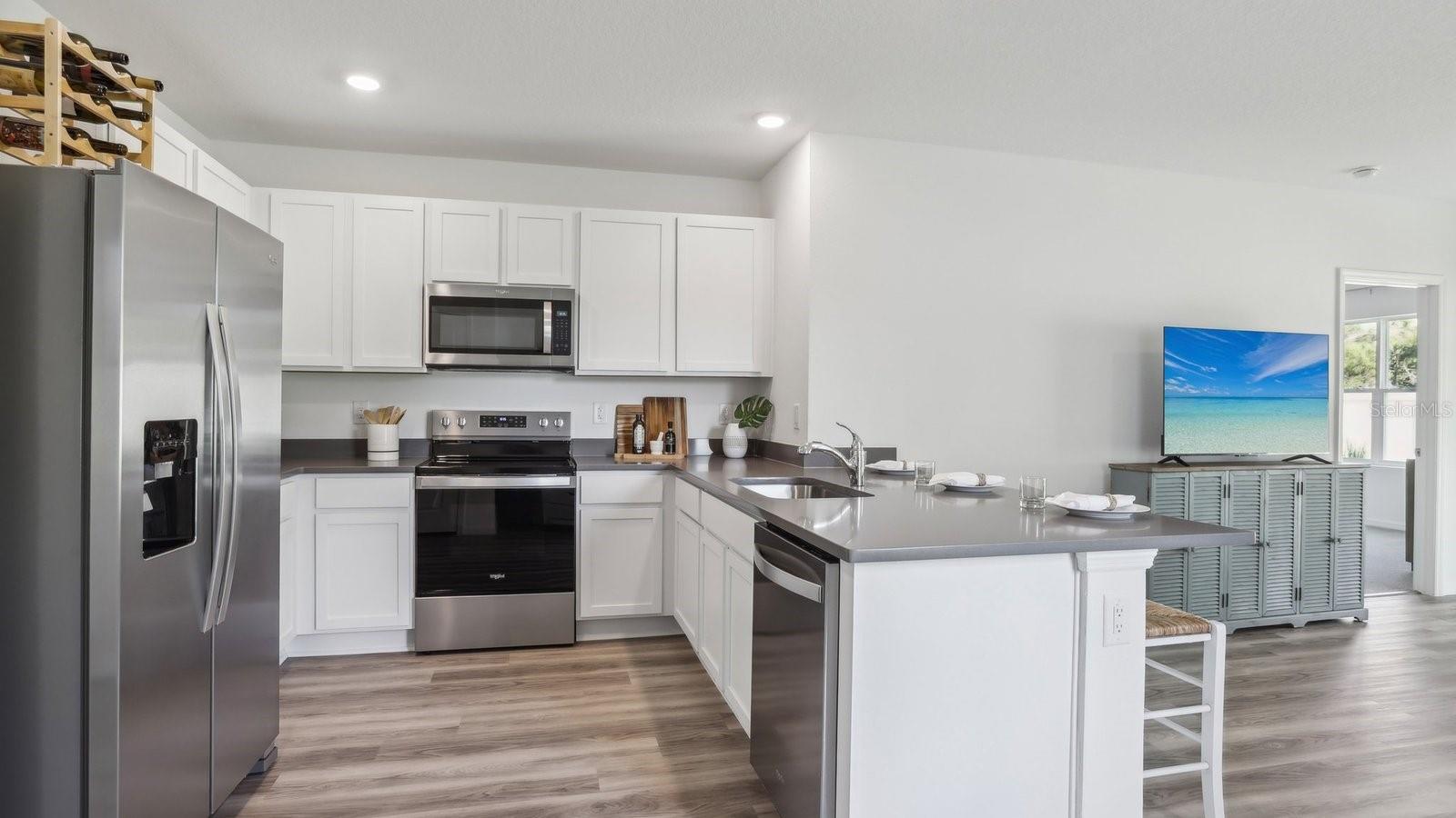 32924 WINTERWOOD BOULEVARD, Wesley Chapel, FL 33543