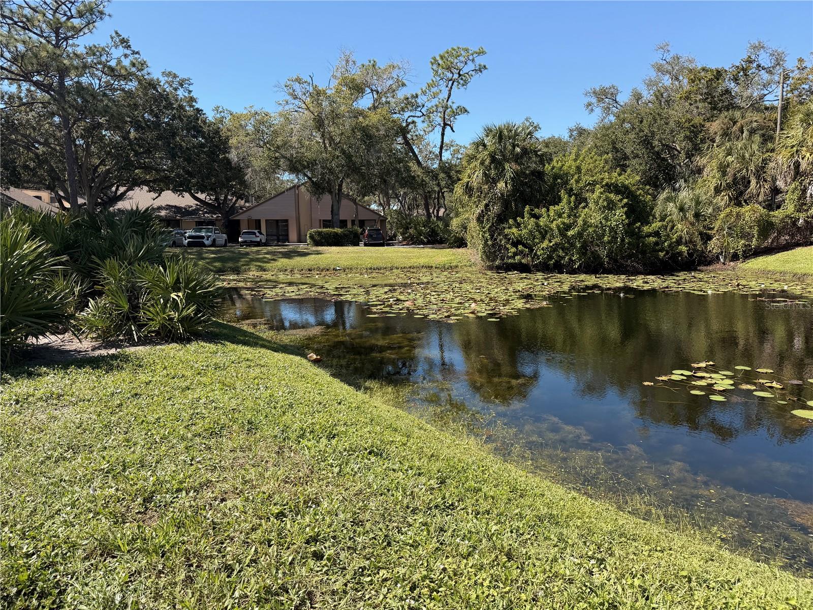 2971 ESTANCIA BOULEVARD, #319, Clearwater, FL 33761 2971 ESTANCIA BOULEVARD, #319, Clearwater, FL 33761