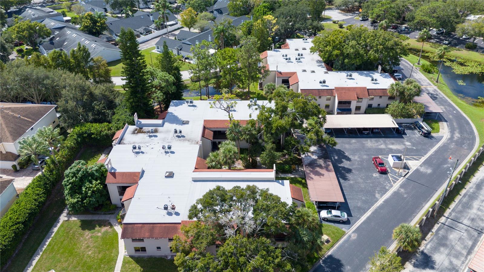 2971 ESTANCIA BOULEVARD, #319, Clearwater, FL 33761