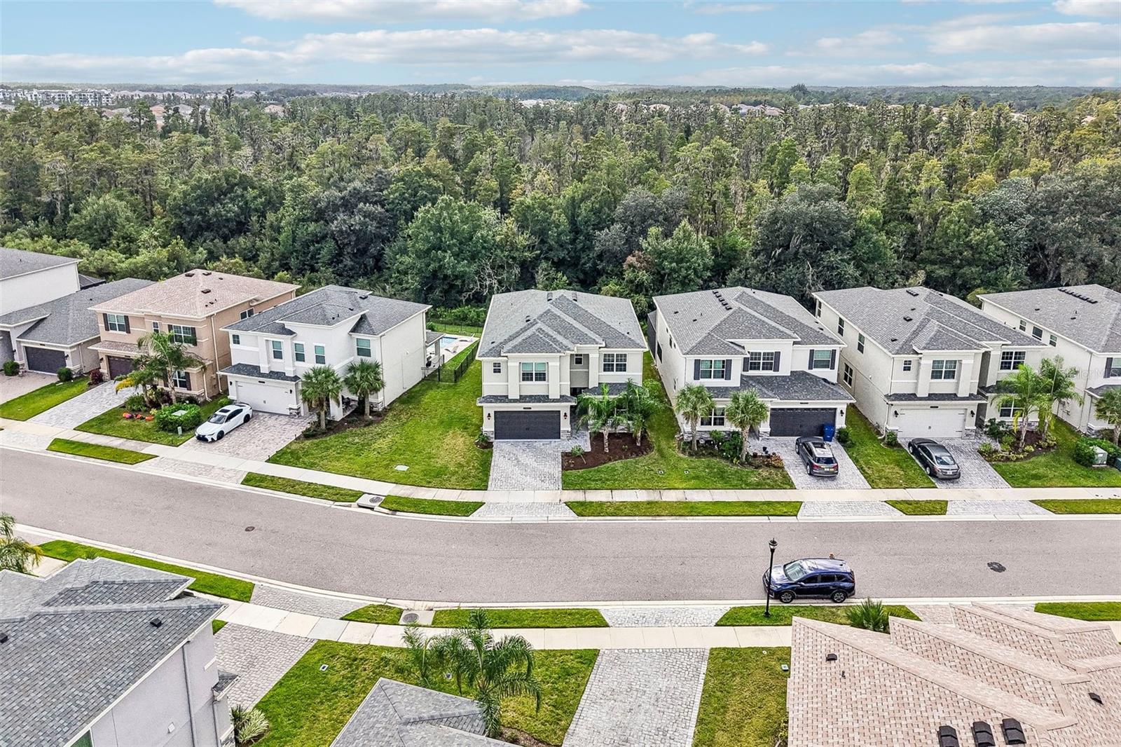 3469 GREAT BANYAN WAY, Wesley Chapel, FL 33543