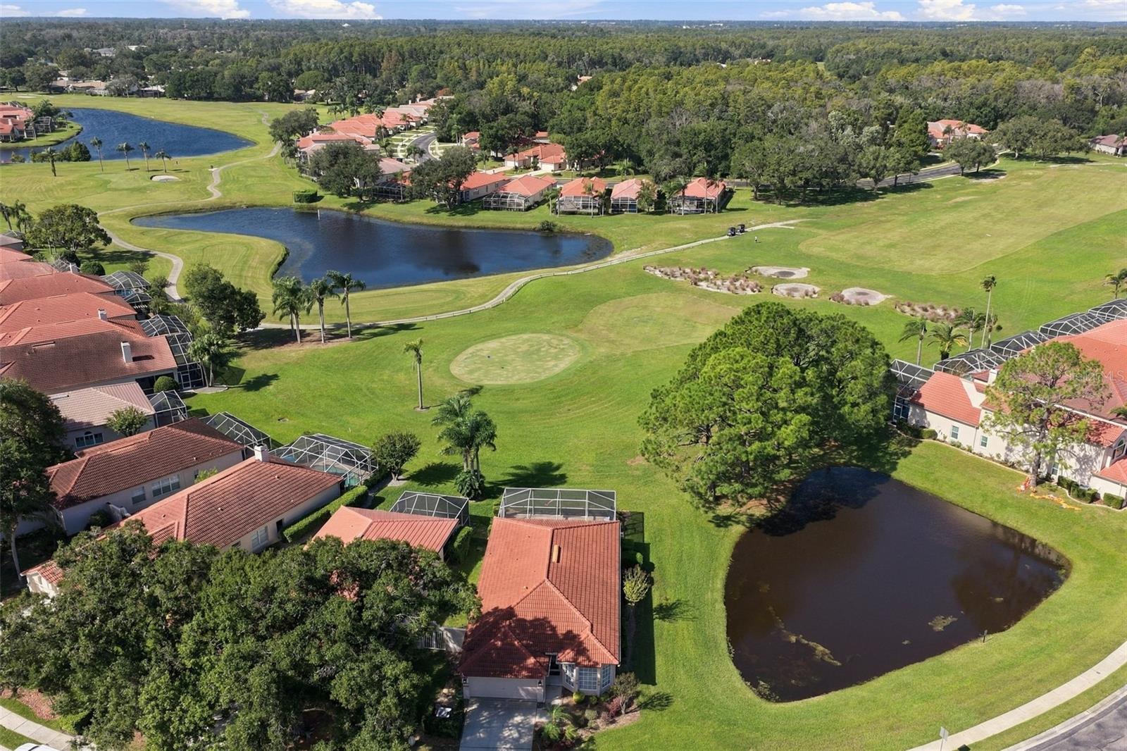 1194 DARTFORD DRIVE, Tarpon Springs, FL 34688
