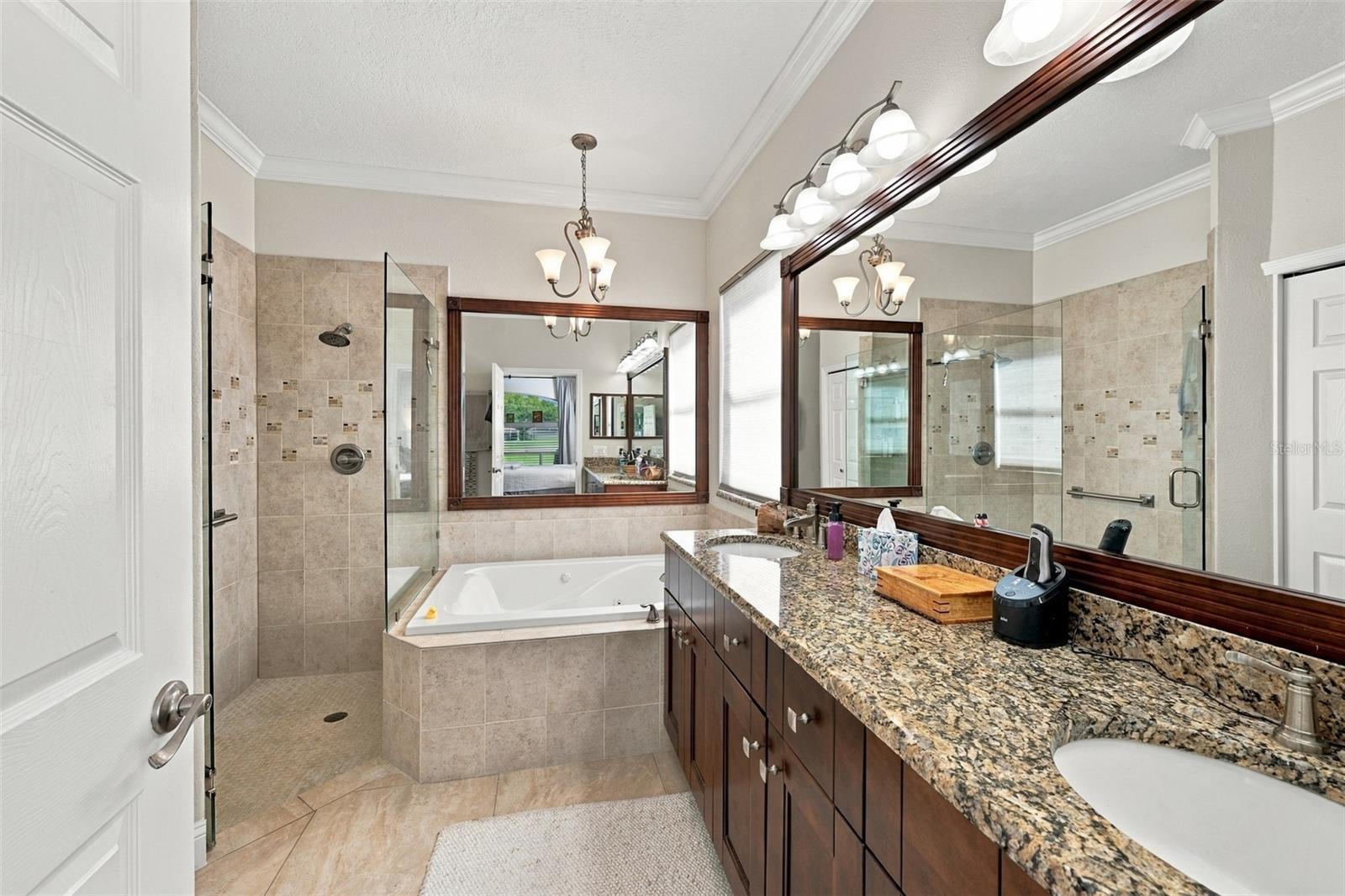 1194 DARTFORD DRIVE, Tarpon Springs, FL 34688
