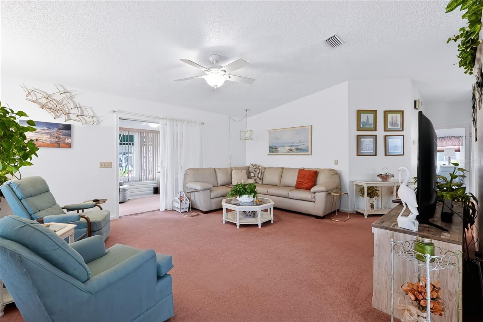 Large Living Room
