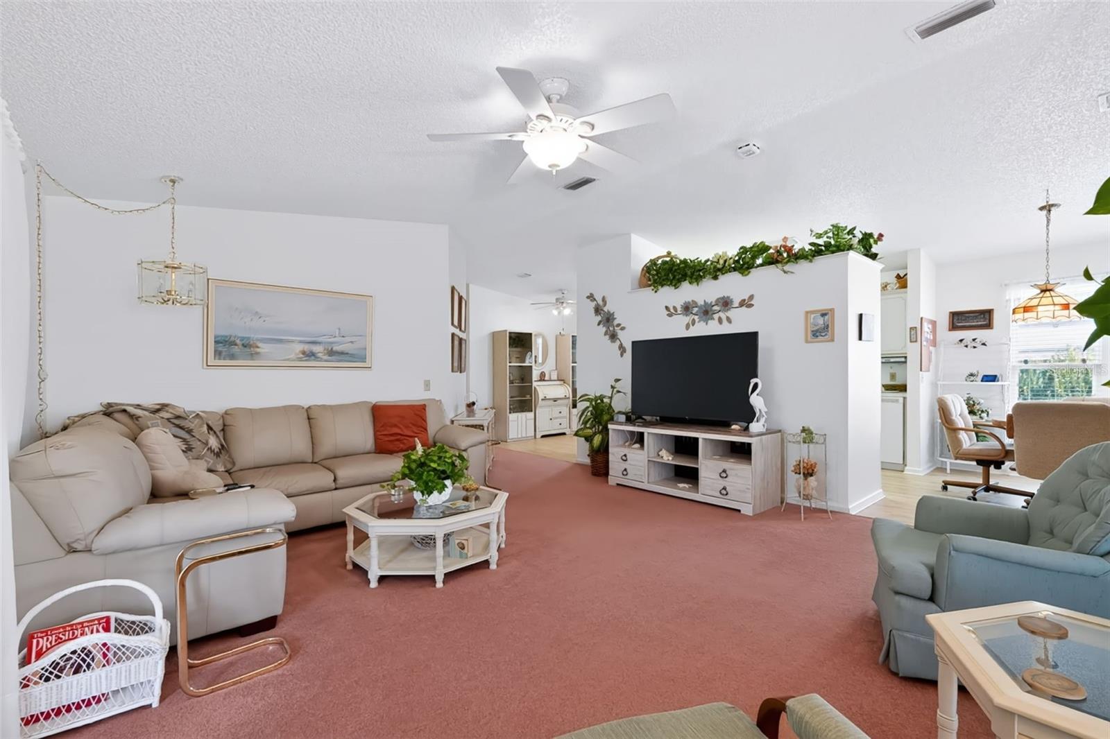 Large Living Room