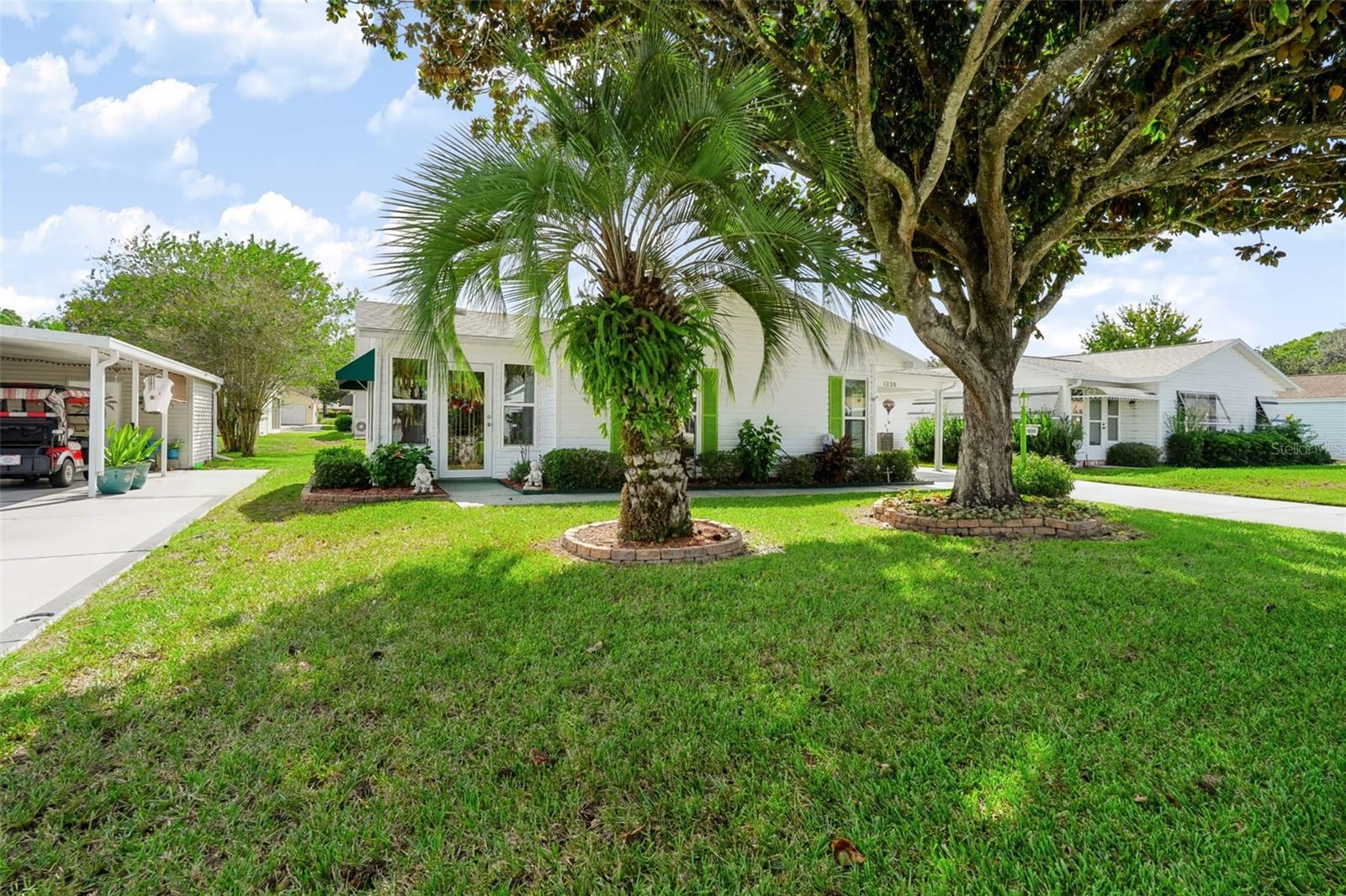 Mature landscaping, beautiful Magnolia Tree