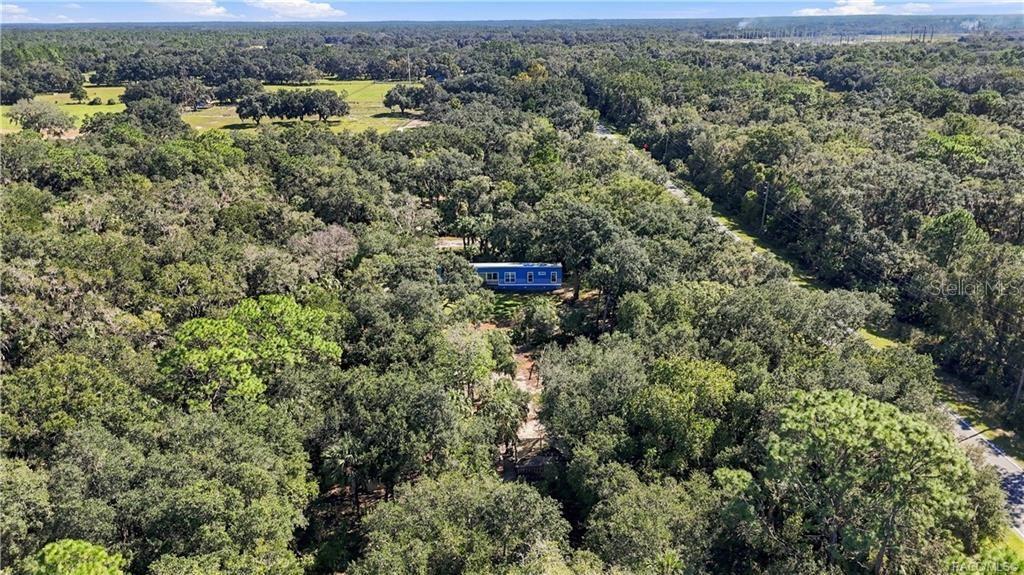 FLORIDA'S NATURAL BEAUTY! Another stunning aerial perspective showcases the surrounding tree canopy, lush vegetation & peaceful, wooded setting.