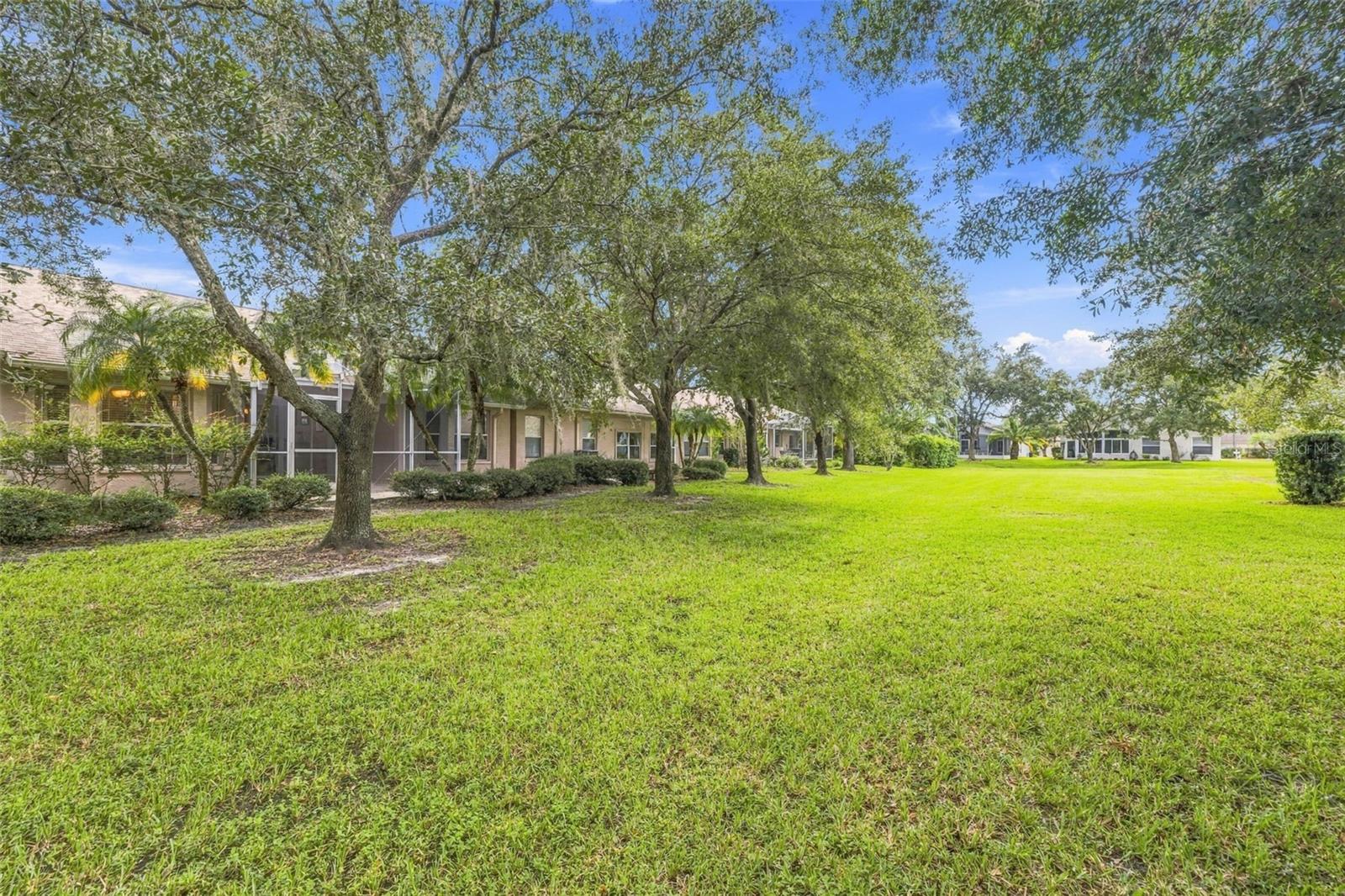 Mature landscaping
