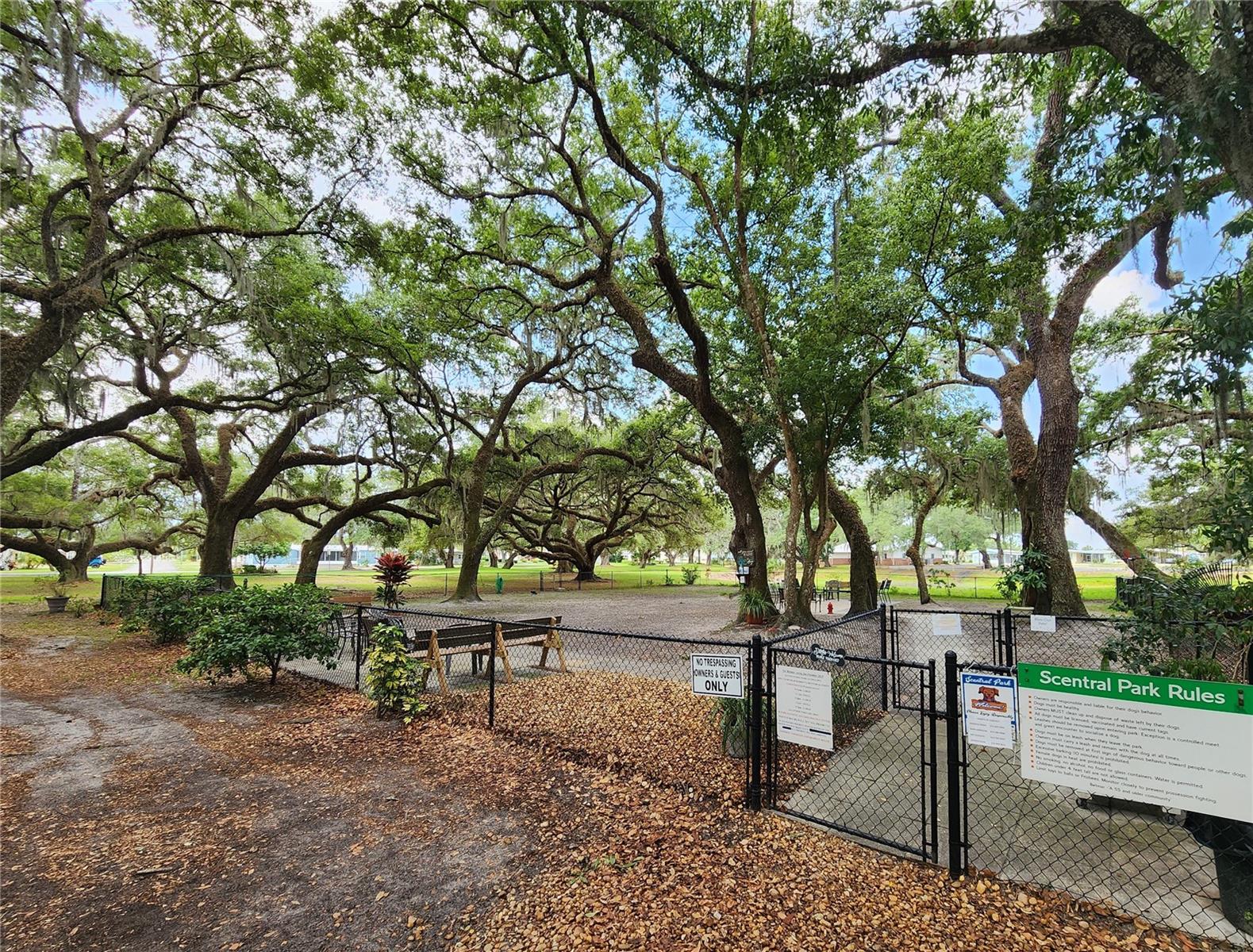 5503 BARBARA STREET, Zephyrhills, FL 33542