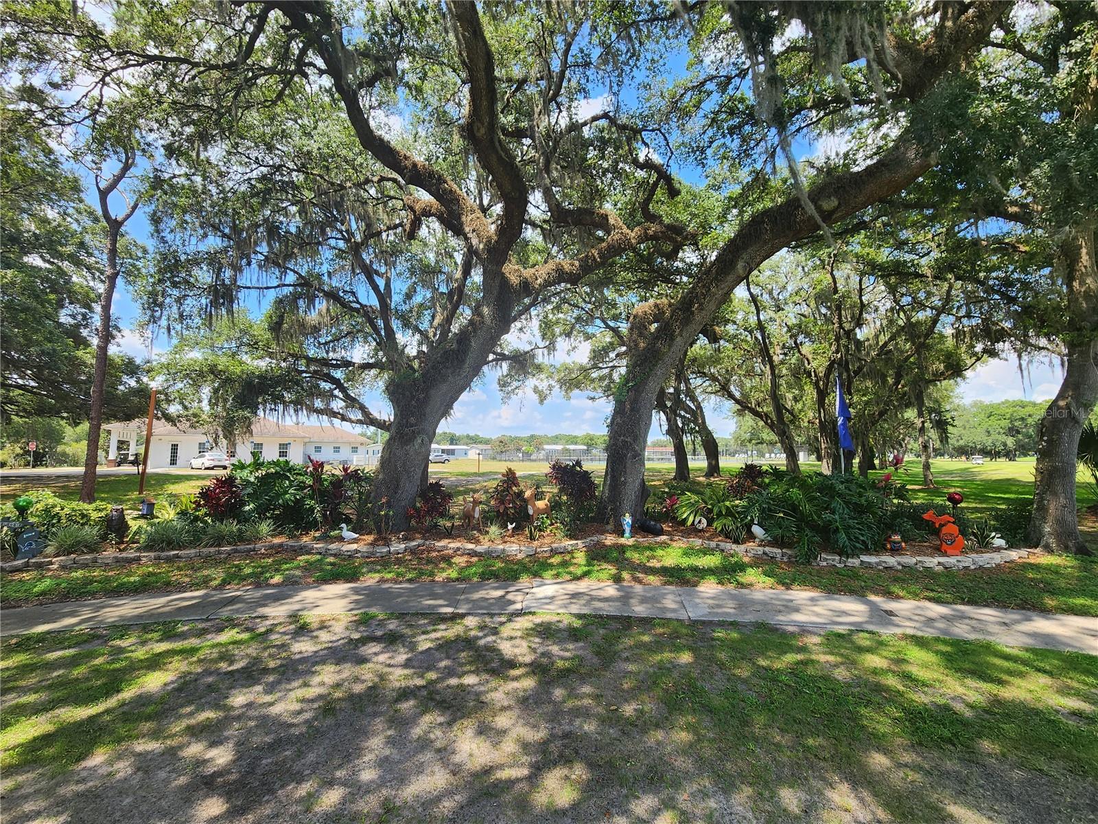 5503 BARBARA STREET, Zephyrhills, FL 33542