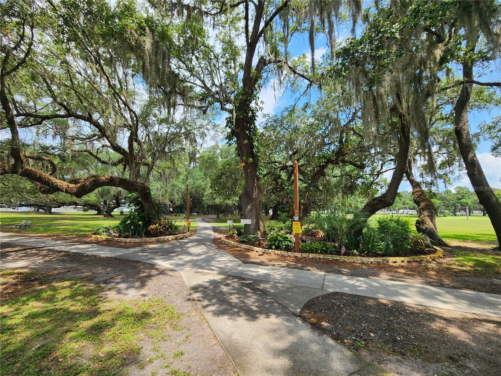 5503 BARBARA STREET, Zephyrhills, FL 33542
