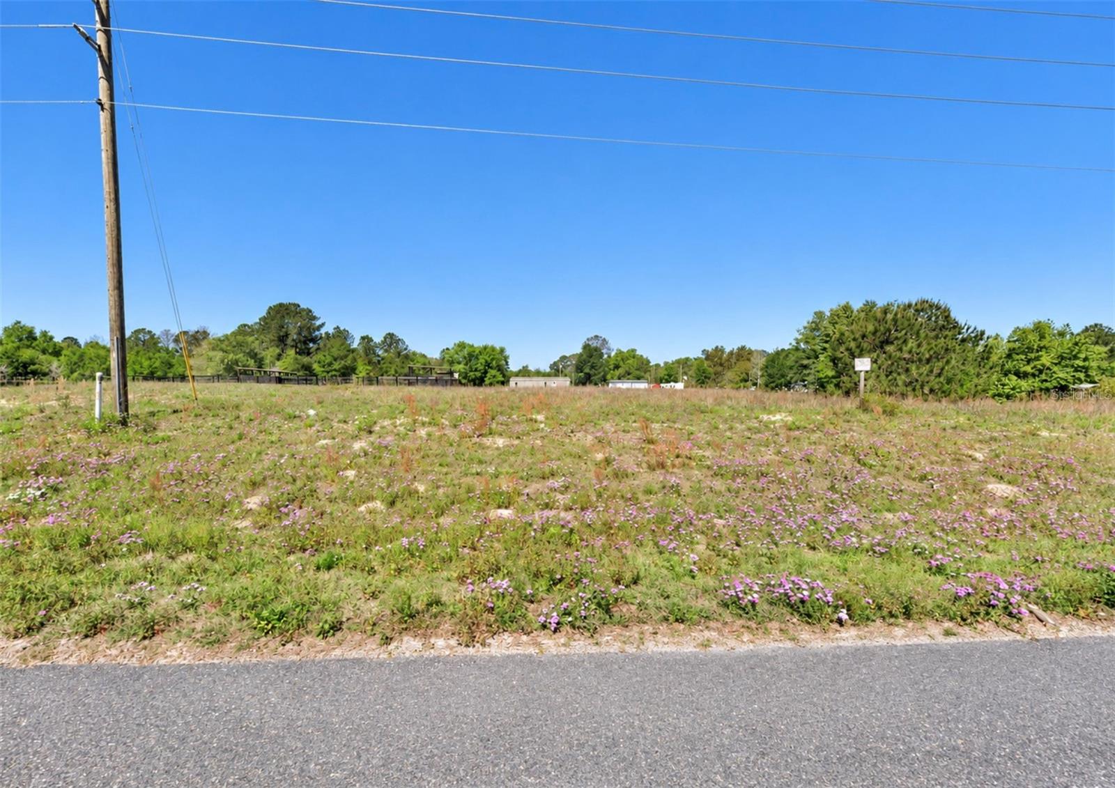 UNASSIGNED, Morriston, FL 32668