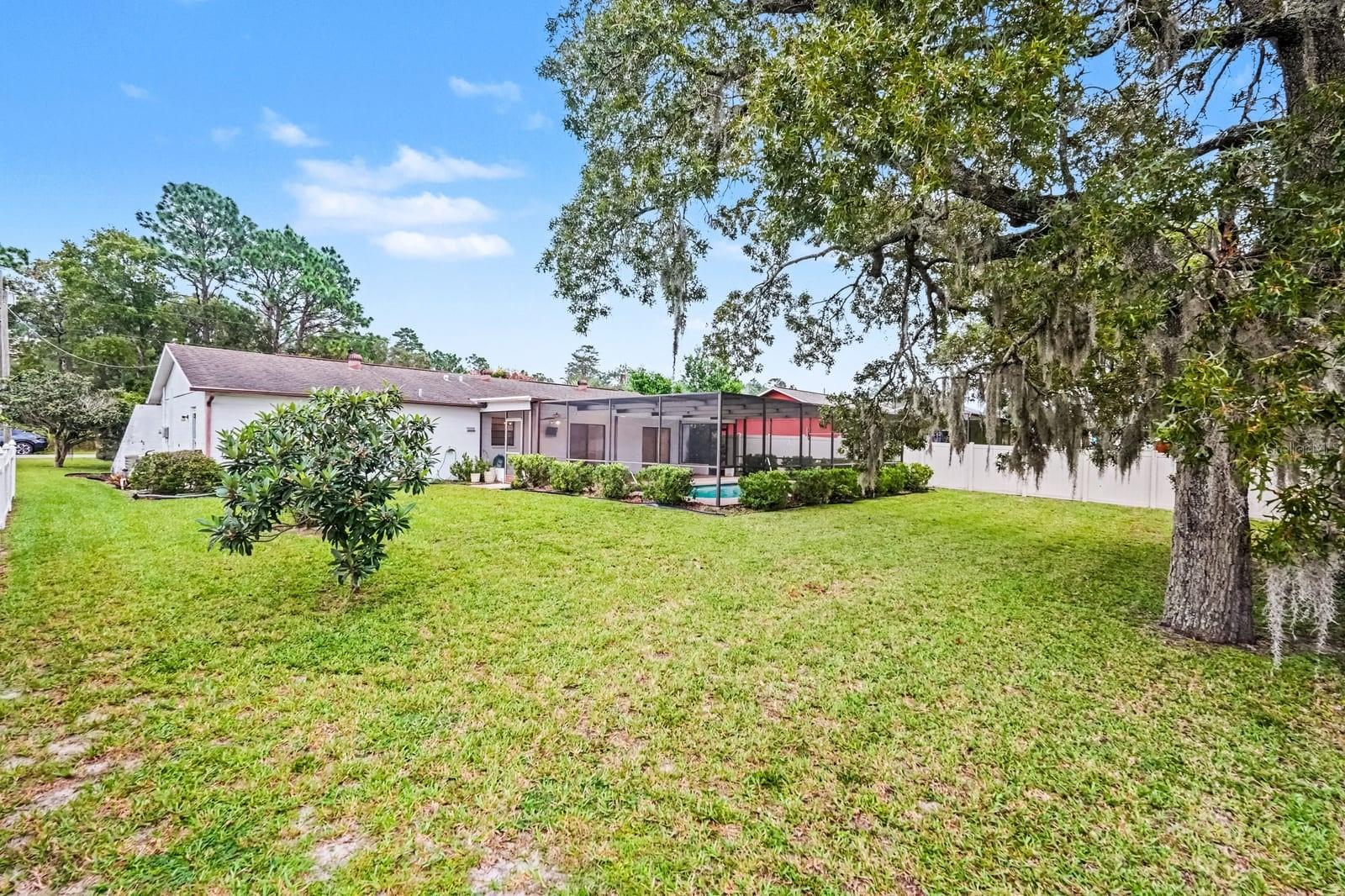 Generous Rear Lot with Native Oak Trees and Pool Screen