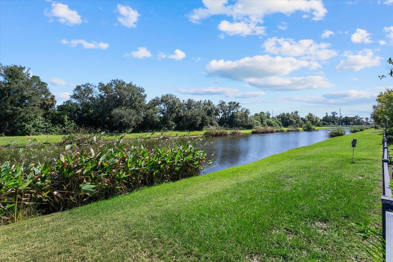 308 STAR SHELL DRIVE, Apollo Beach, FL 33572